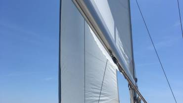 IMG-20240202-WA0010-1.jpg
